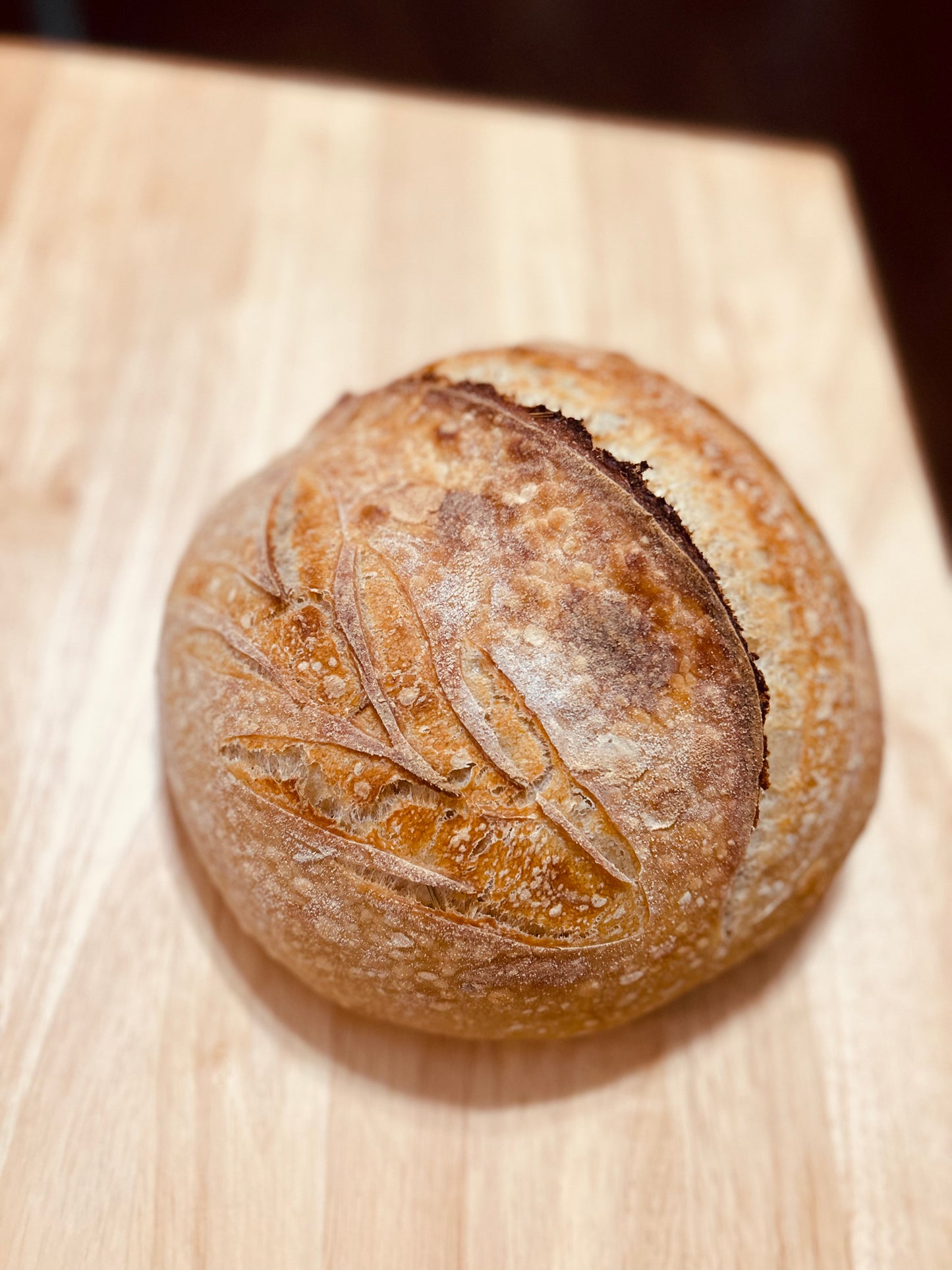 Rosemary Garlic Artisan Sourdough Loaf ORGANIC