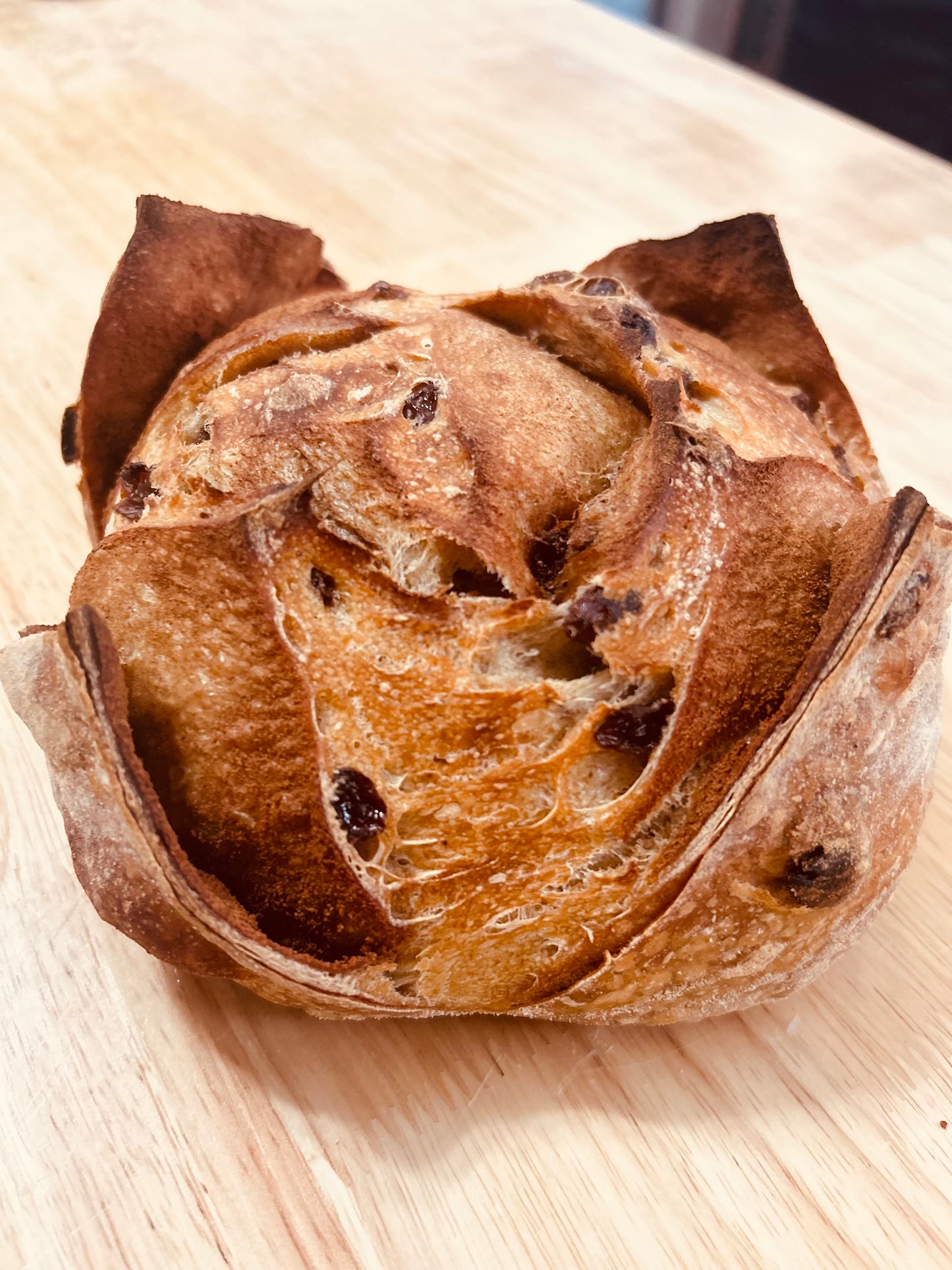 Cinnamon Raisin Artisan Sourdough Loaf ORGANIC