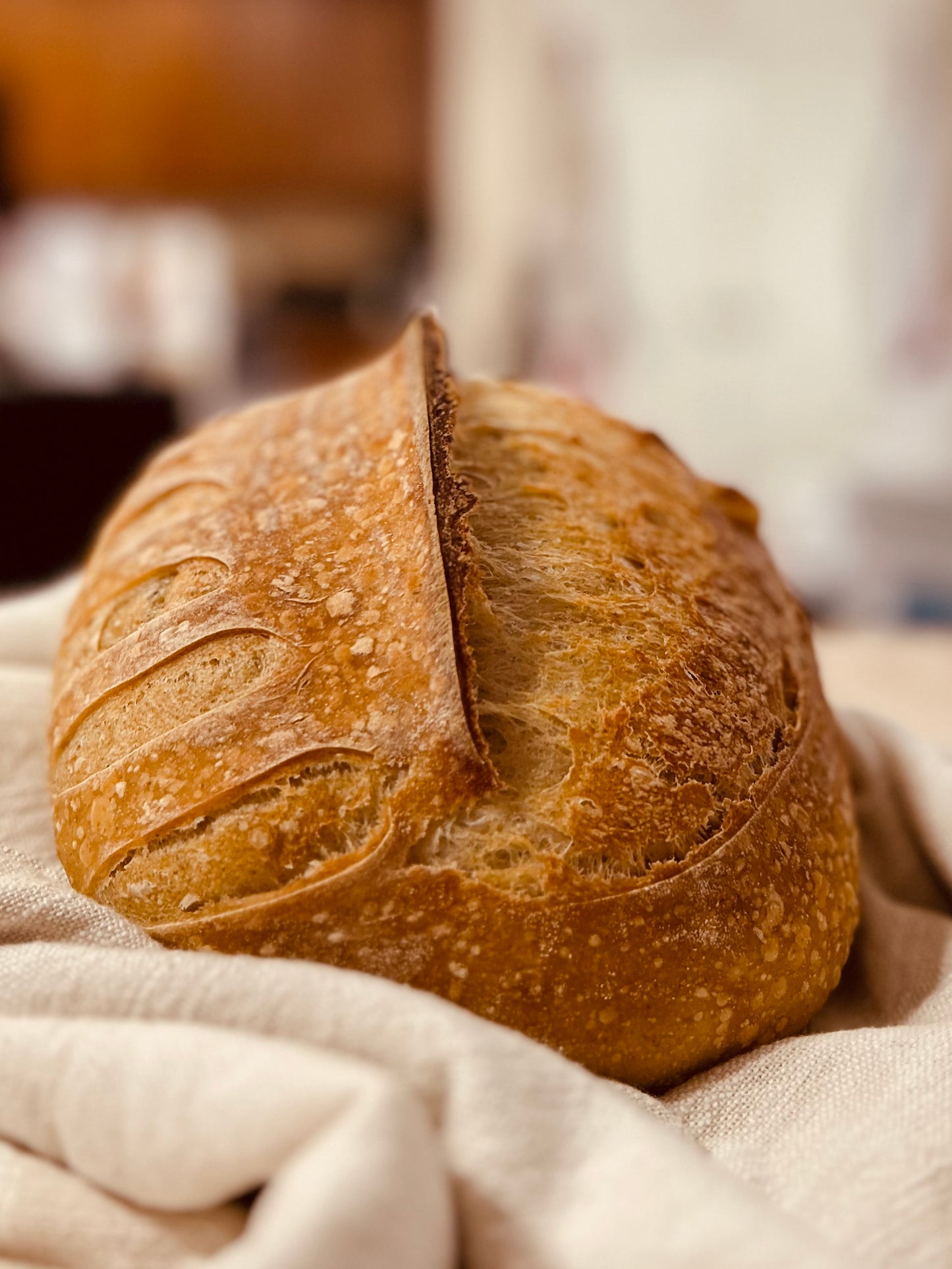 Artisan Sourdough Country Loaf ORGANIC