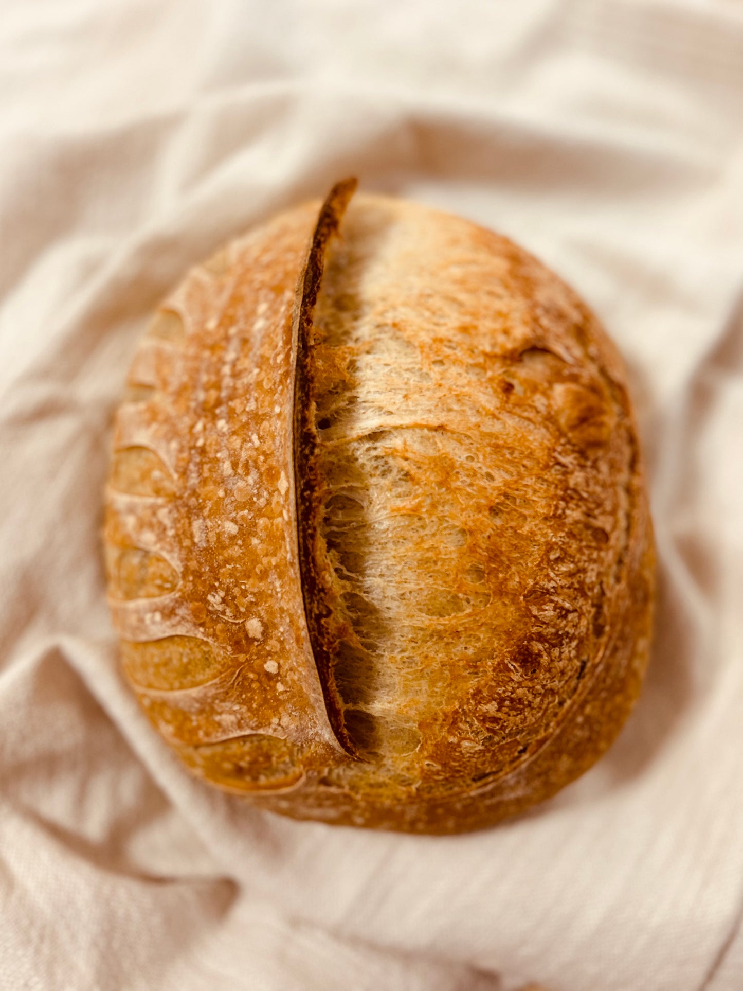 Artisan Sourdough Country Loaf ORGANIC