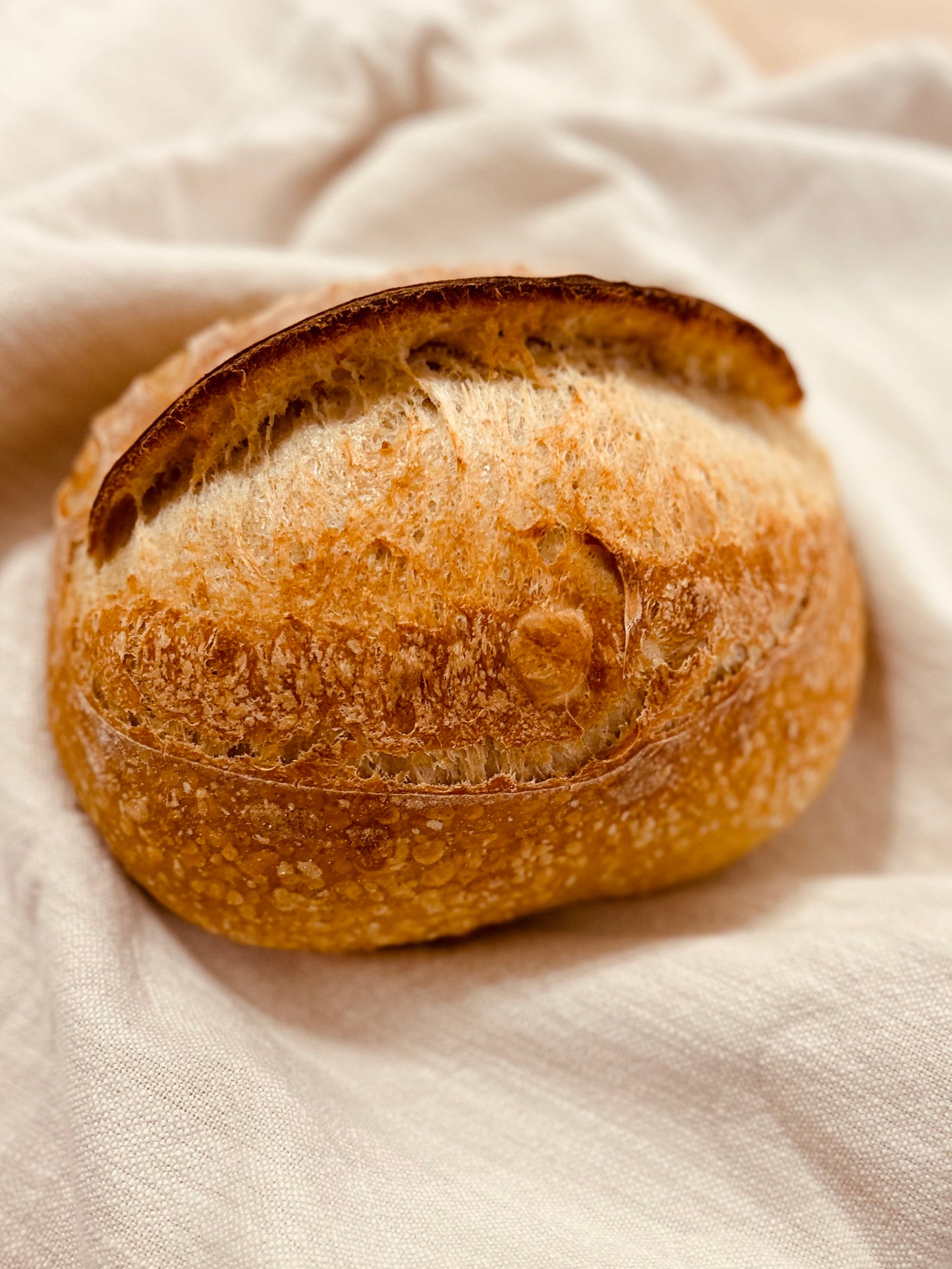 Artisan Sourdough Country Loaf ORGANIC