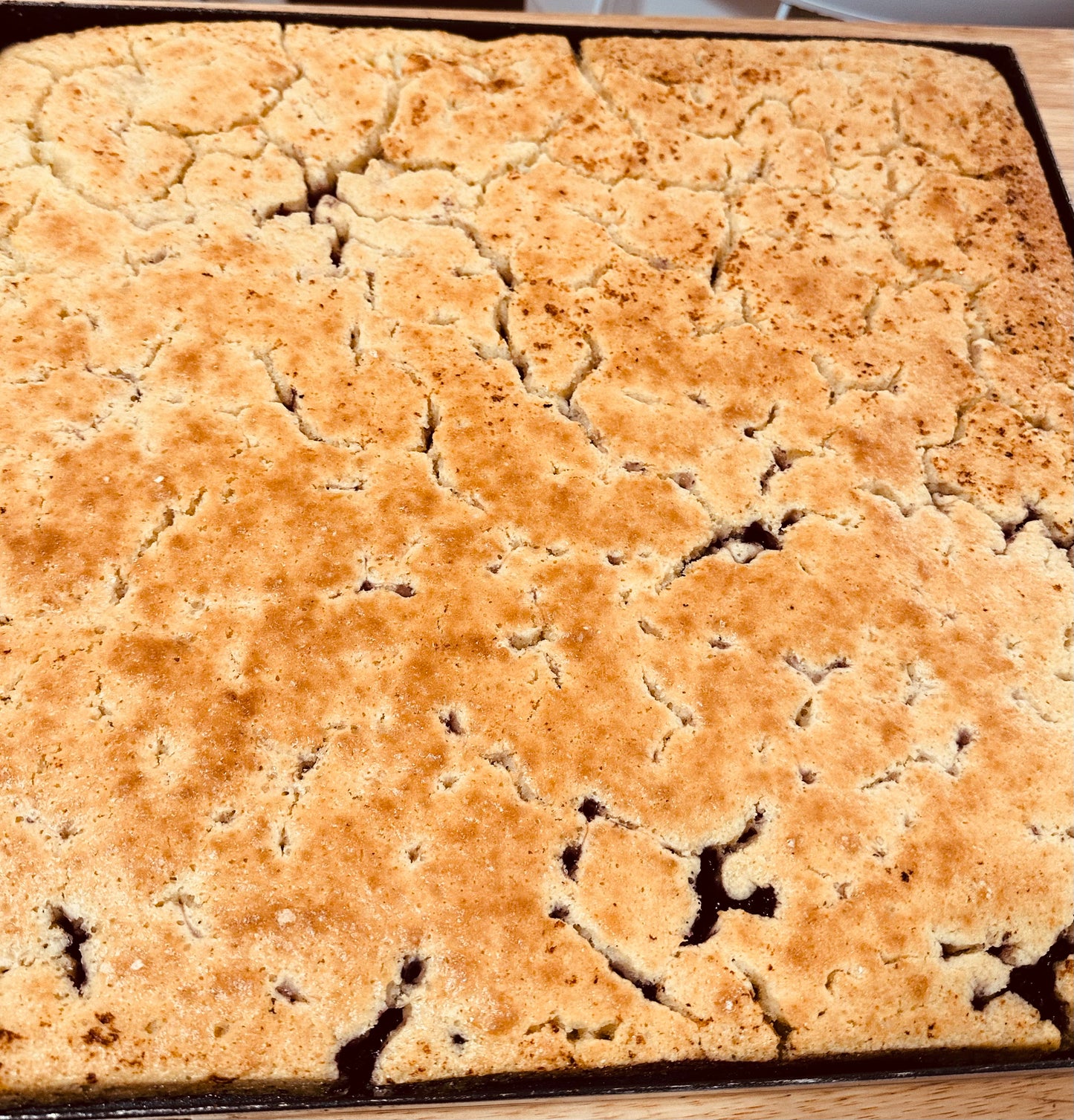 Sourdough Blueberry Cobbler Bars ORGANIC