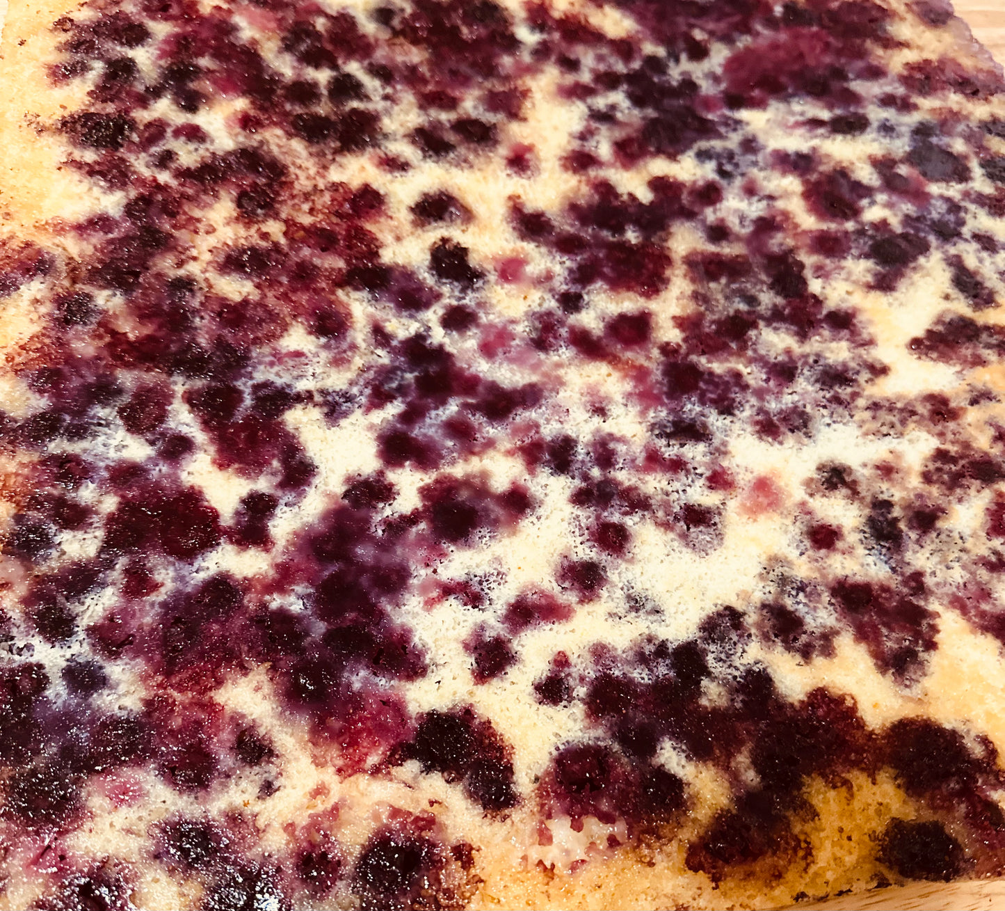 Sourdough Blueberry Cobbler Bars ORGANIC