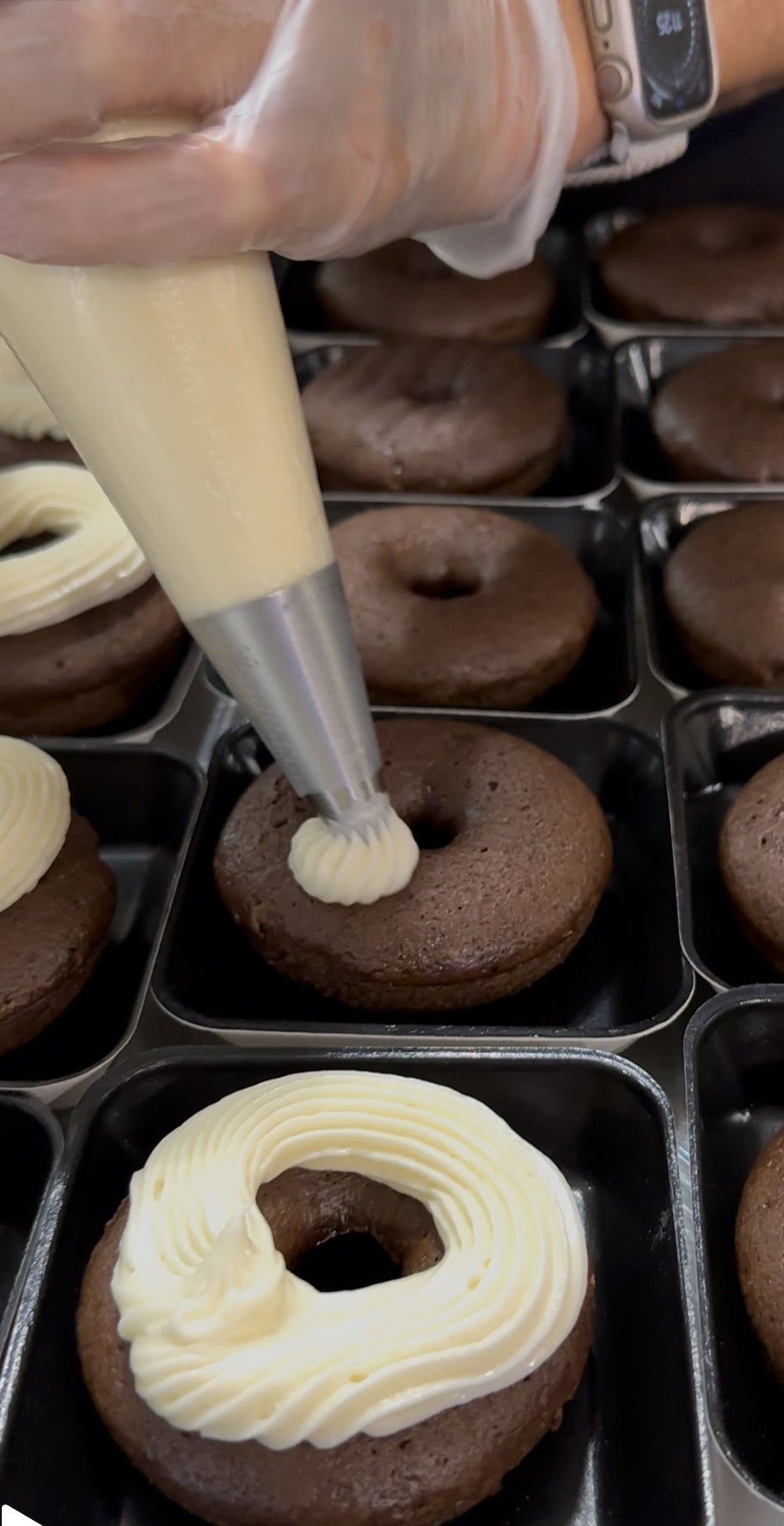 Sourdough Chocolate Cake Donut ORGANIC