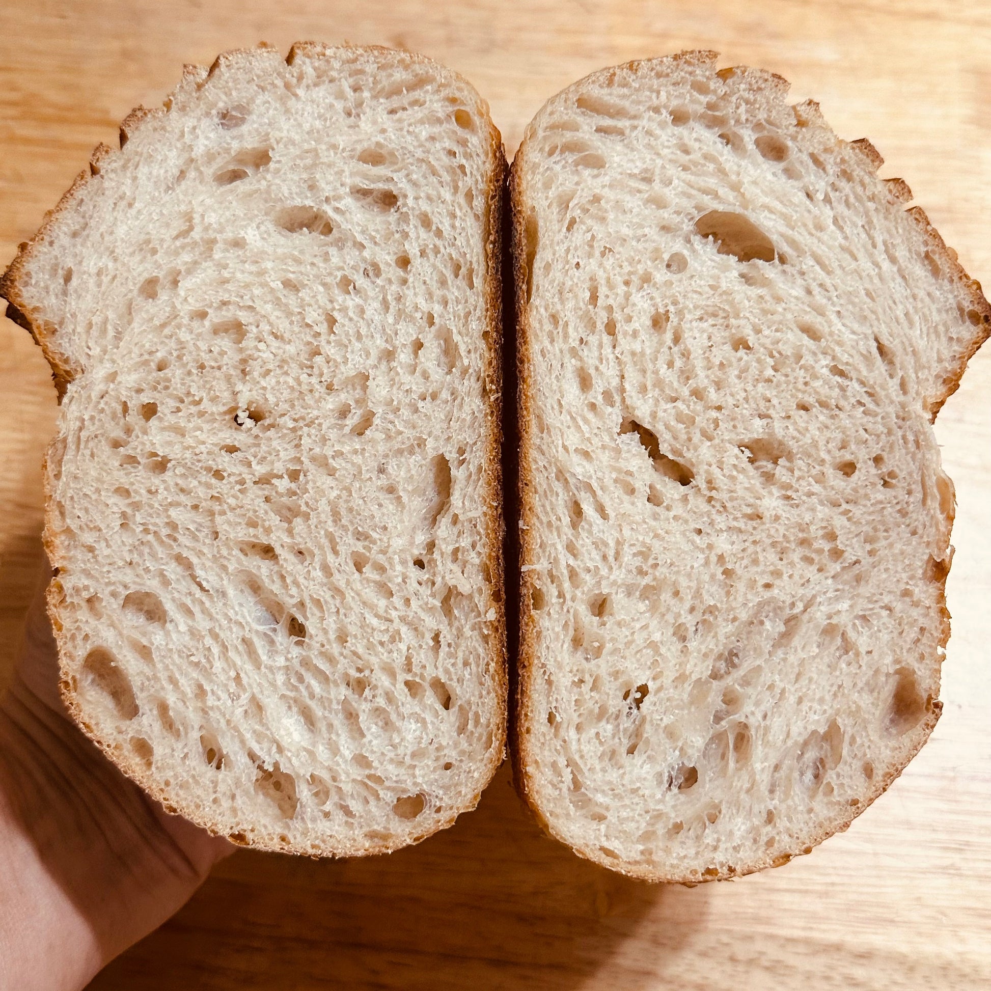 Open crumb of naturally leavened artisan sourdough bread made with Duchess starter