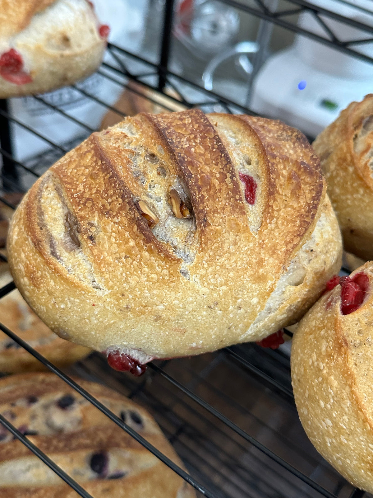 Cranberry Orange Mandarin Walnut Artisan Sourdough Bread