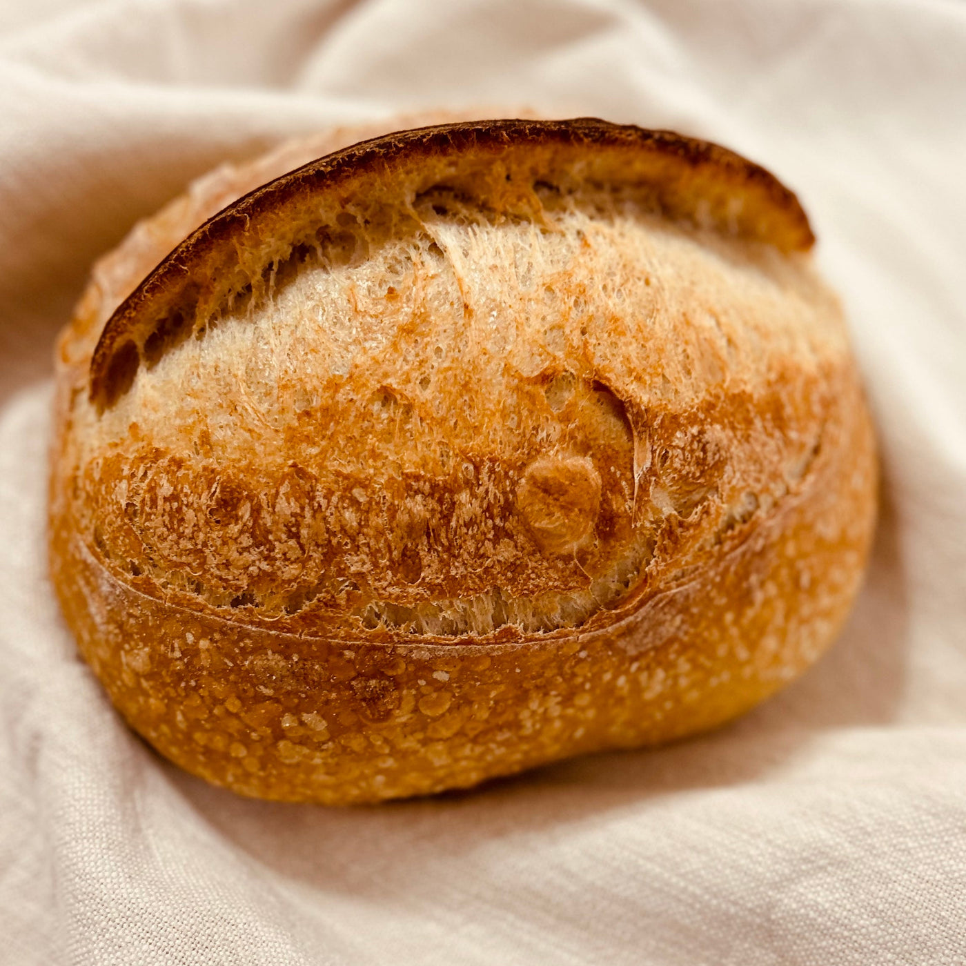 Golden organic artisan country sourdough loaf baked by Stirred By God